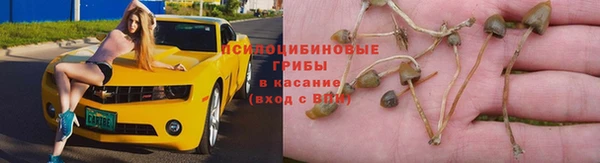 каннабис Абинск