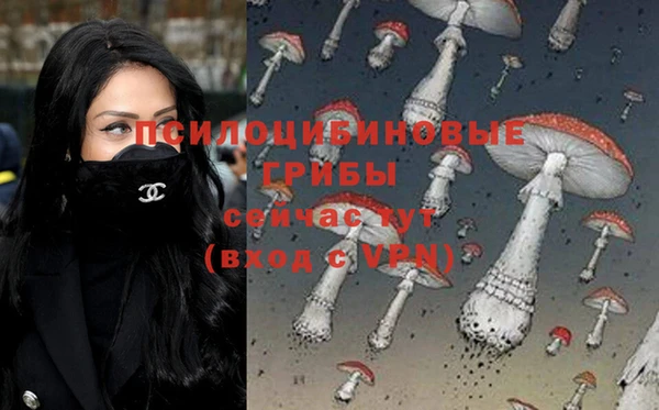 не бодяженный Абдулино