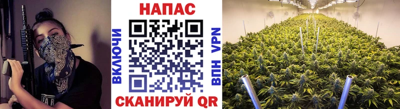 как найти   Горячеводский  Марихуана Amnesia 